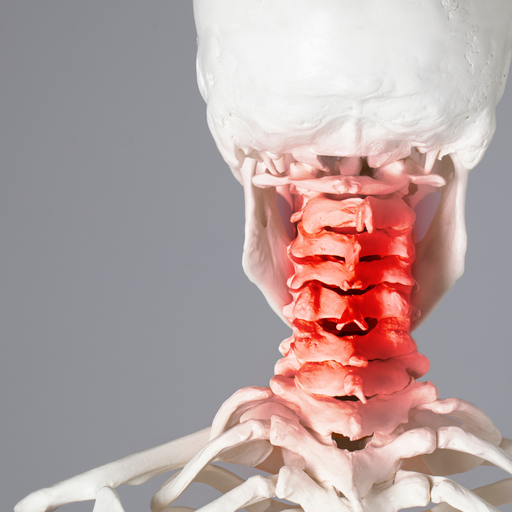 Relever le défi de la Cervicobrachialgie : Du diagnostic à la prise en charge (2025-08-01 - 2025-11-01)