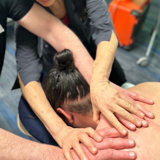 Structural Myofascial Therapy(SMFT)® «Creating Specificity» (2026-10-22 - 2026-10-23)