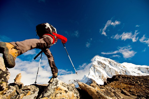 Movement Analysis: A Clinical Reasoning Approach (2026-11-13)