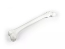 Model - Femur bone