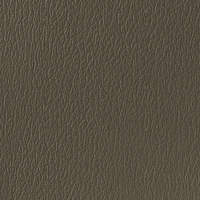 [119-971] Coussins Premium pour Modèle 528/529 (Gunmetal (Gris foncé), 61.00 cm (24.00"))